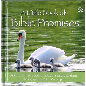 A Little Book Of Bible Promises